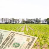 Landbouwkrediet – financiering boven een akker