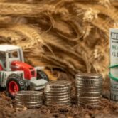 Landbouwkrediet – sparen voor de oogst